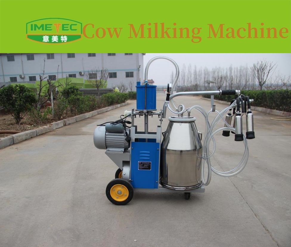 Machine à traire les vaches