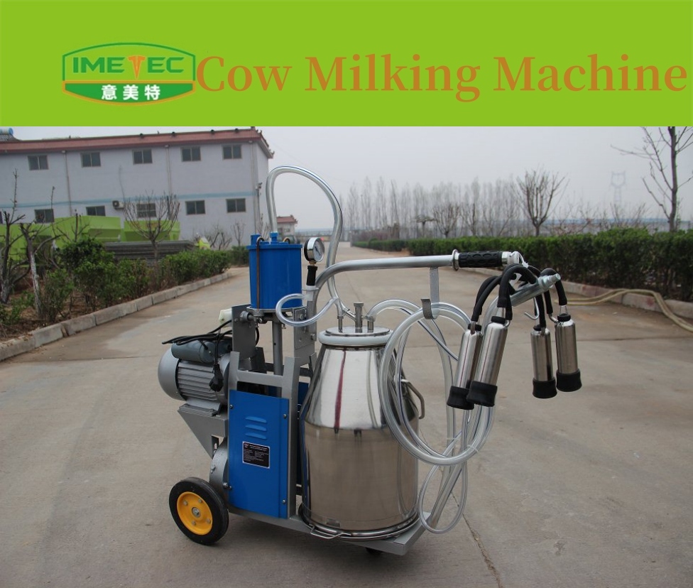 Machine à traire les vaches