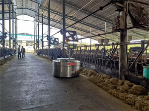 Feed Pushing