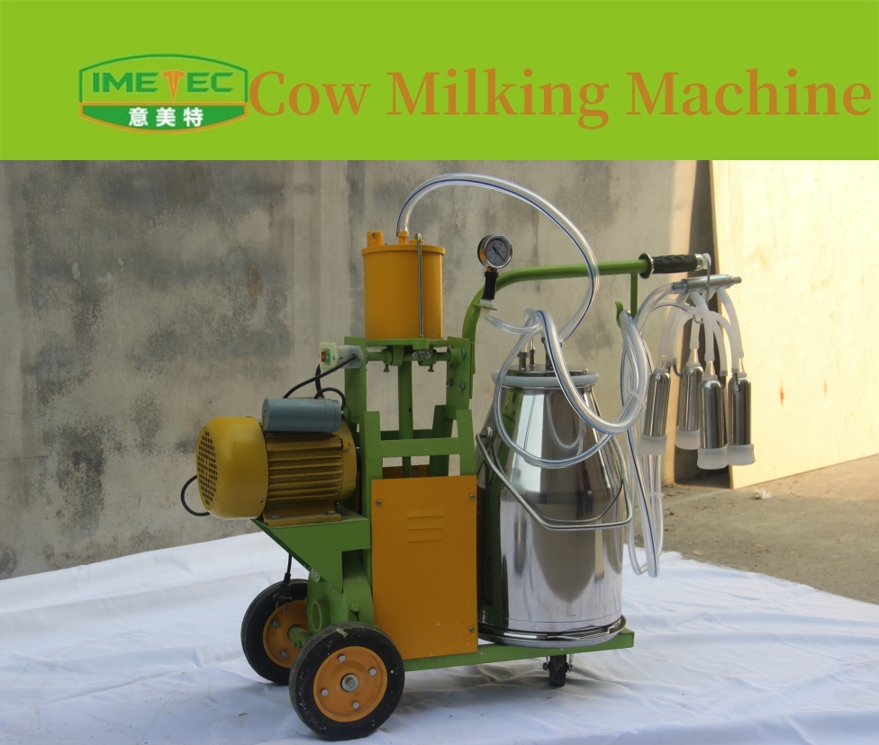 Machine à traire les vaches