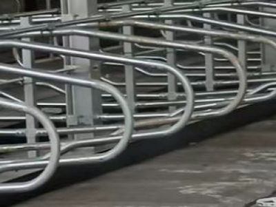 Hot dip galvanized cow free stalls for dairy farm, improve cow comfort and health