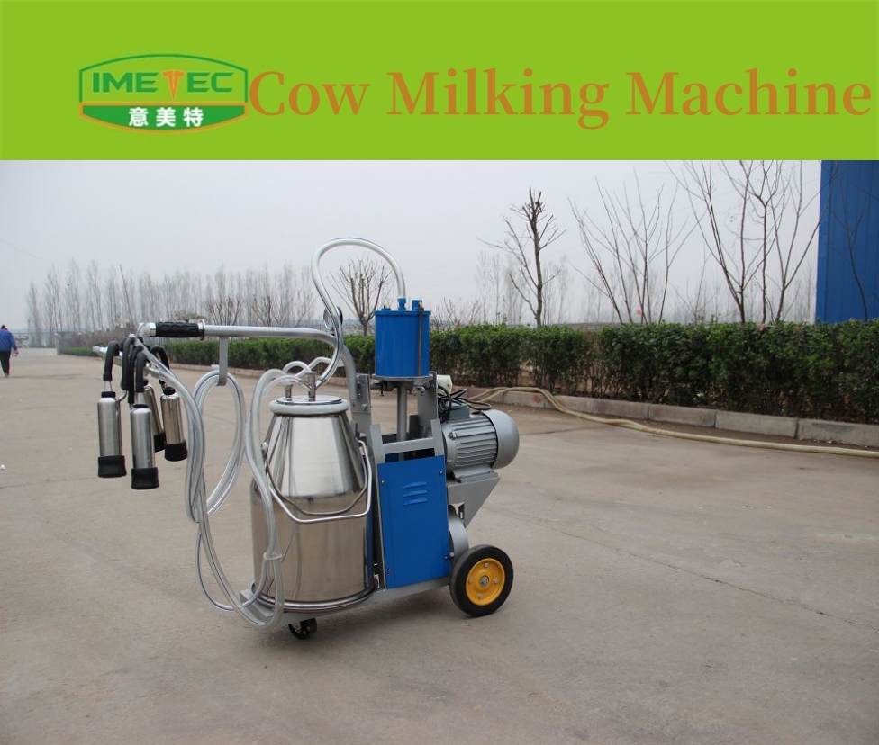 Machine à traire les vaches