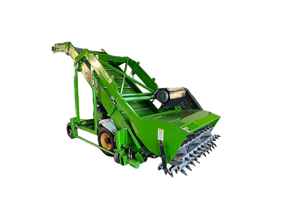 1773279061813950.jpg 1000 x750.jpg