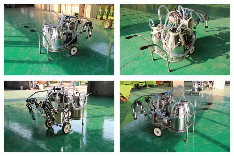 Máquina de ordeño de vacas Máquina de ordeño de vacas